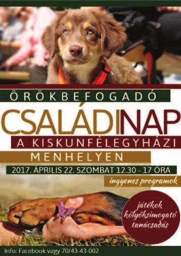 hu E-mail: kkfhaza@szuperinfo.hu Kiadja: PROVAL Kft.