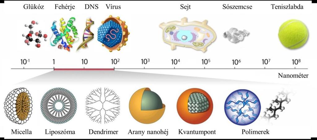 1. ábra. A nano mérettartomány elhelyezkedésének szemléltetése, és ezen mérettartomány jeles képviselőinket bemutatása (alul) [53].