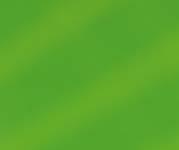 (2014): Ingestion and transfer of microplastics in the