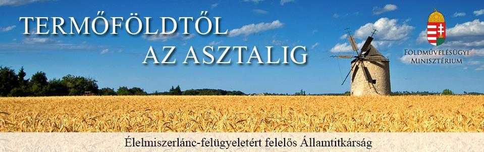 Köszönöm figyelmüket!