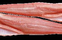Cápaharcsafilé fehér, 5% glazúr - 1 kg 10x1 kg Tilápiafilé, interfóliás, glazúr nélkül,