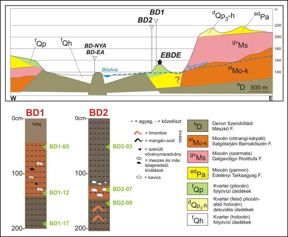 73 3. ábra: Edelény-Borsod-Derékegyháza környékének (túlmagasított) földtani szelvénye a felszíni mintavételi pontokkal (BD-NYA, -EA), illetve a lemélyített talaj-üledékfúrások (BD1 és 2) litológiai