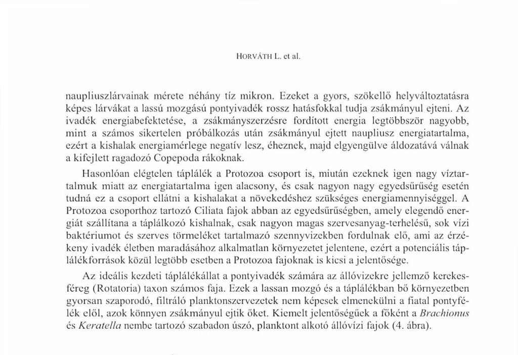 HORVÁTH L. et al. naupliuszlárvainak mérete néhány tíz mikron. Ezeket a gyors, szökellő helyváltoztatásra képes lárvákat a lassú mozgású pontyivadék rossz hatásfokkal tudja zsákmányul ejteni.