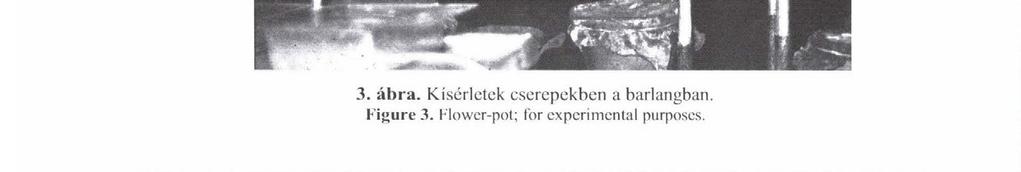 Experimentál boksz for Knchytraeidae. Természetesen más talajállatokkal is folytak hasonló kísérletek.