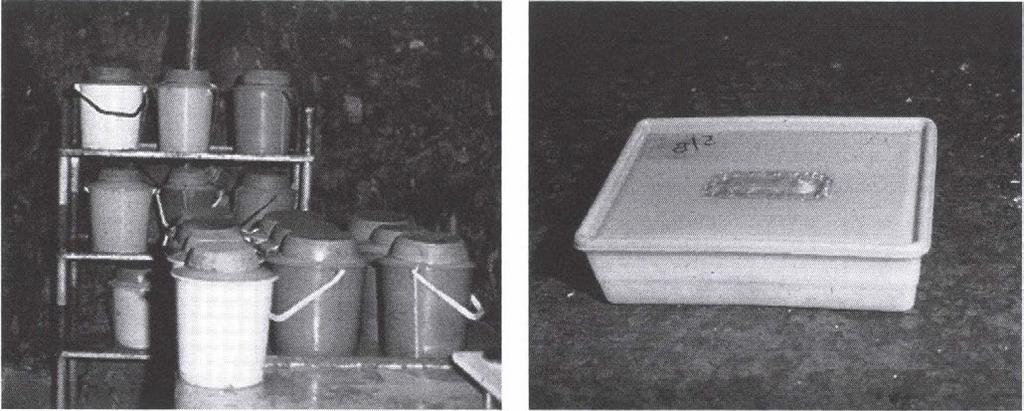 A Diplopoda és Isopoda kísérletek cserepekben történtek (POBOZSNY 1986), a nagyobb enehytraeidák esetében pedig olyan