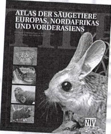 A magyarázat: Európában többször kitelepítettek, állatkertekből is megszöktek Bennett-kcnguruk, amelyeknek kisebb populációi megtalálhatók ma szabadon a közép-angliai Peak körzetben, valamint