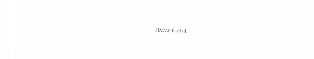 HAVAS Ii. et al. Iii и к ч j -ti «ы }'i I i ' 1 I--J I I I I url I i i- 1 ' ' /' fr pt i. I. J M / ; i a а 1 1 ' : ' 4 ' п ** t i * ' 1 ; 1v : i tv4l 3. ábra.