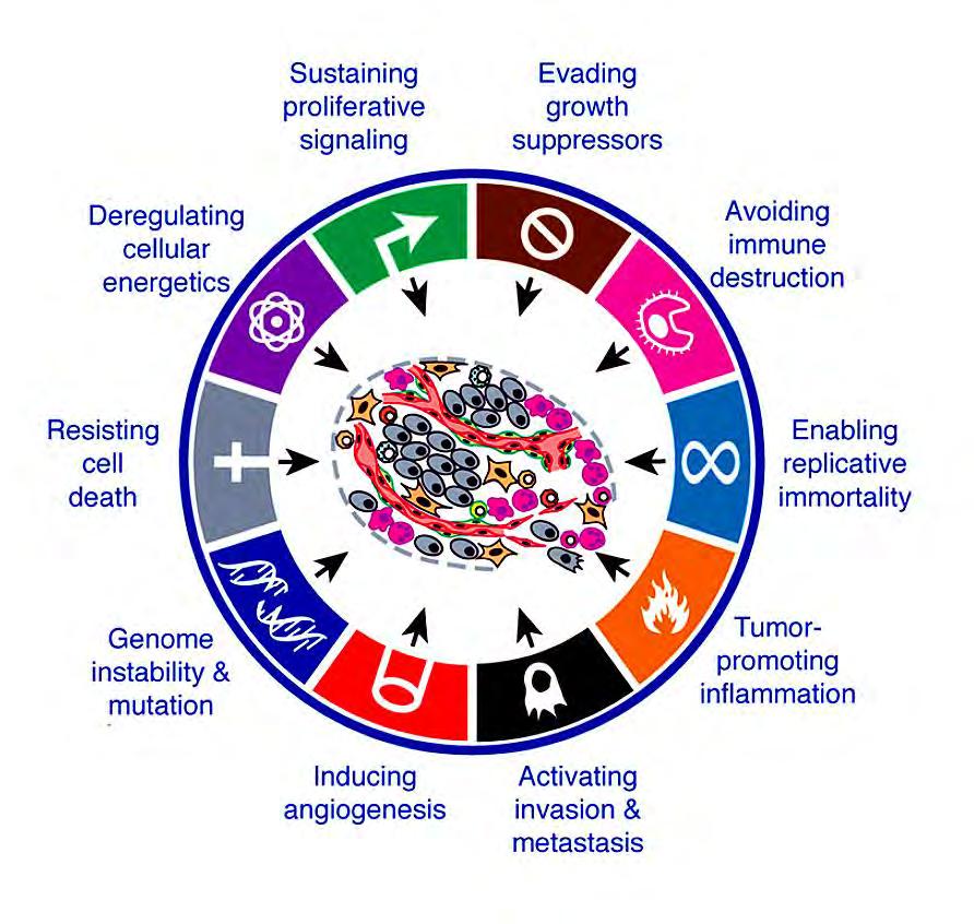 mutation Avoiding immune destruction Enabling replicative immortality Tumourpromoting inflammation Cytokinek T-REGS CA-125- Abagovomab