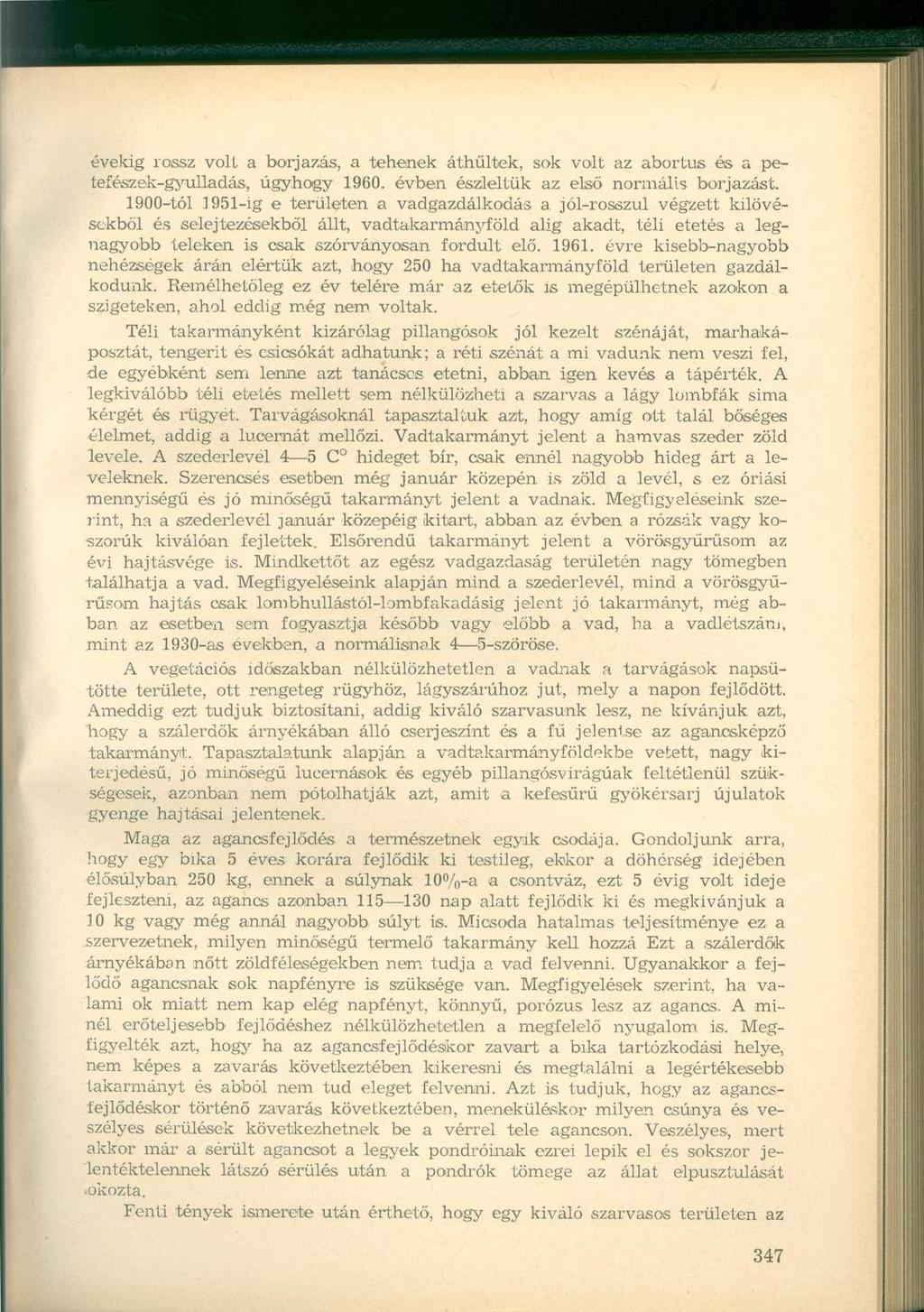 évekig rossz volt a borjazás, a tehenek áthűltek, sok volt az abortus és a petefészek-gyulladás, úgyhogy 1960. évben észleltük az első normális borjazást.