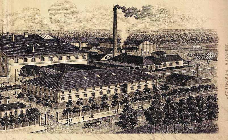 Az Első Kecskeméti Konzervgyár Rt. látképe, fejléces levél 1918-ból, MNL BKML IX. 216. gyártelep és technikai eszközök bővítésére, korszerűsítésére, 2.