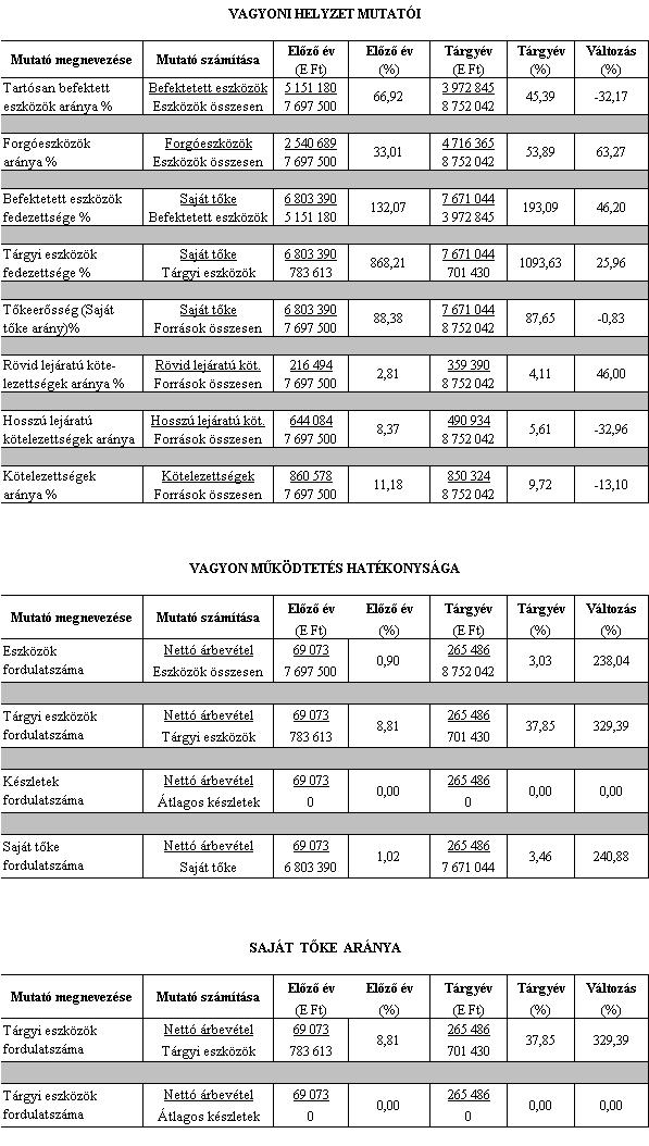 A JELENTÉS könyvvizsgálattal nem