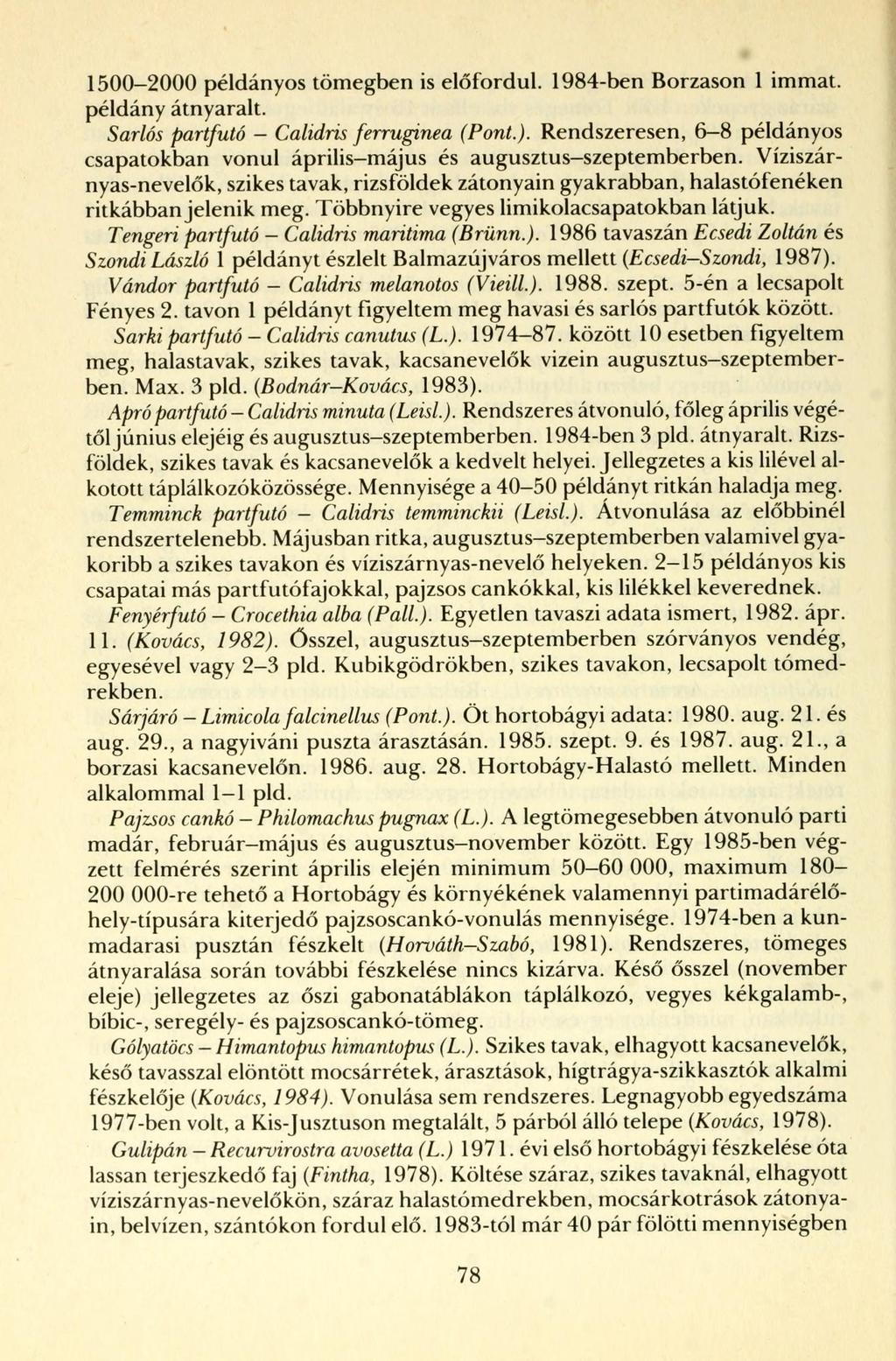 1500 2000 példányos tömegben is előfordul. 1984-ben Borzason 1 immat. példány átnyaralt. Sarlós partfutó - Calidris ferruginea (Pont.).