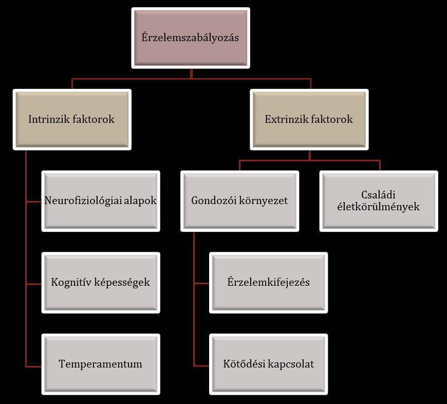 2. ábra: Az érzelemszabályozást befolyásoló tényezők Az érzelemreguláció fejlődése a biológiai, szocio-emocionális és kognitív tapasztalatok folyamatos integrációjaként írható le (Calkins, 1994) és