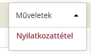 A Jelentkezés fülre való kattintást követően kattintson a Műveletek gombra, majd a Nyilatkozattétel gombra.