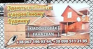 56 Karmacsi Zoltán 3.