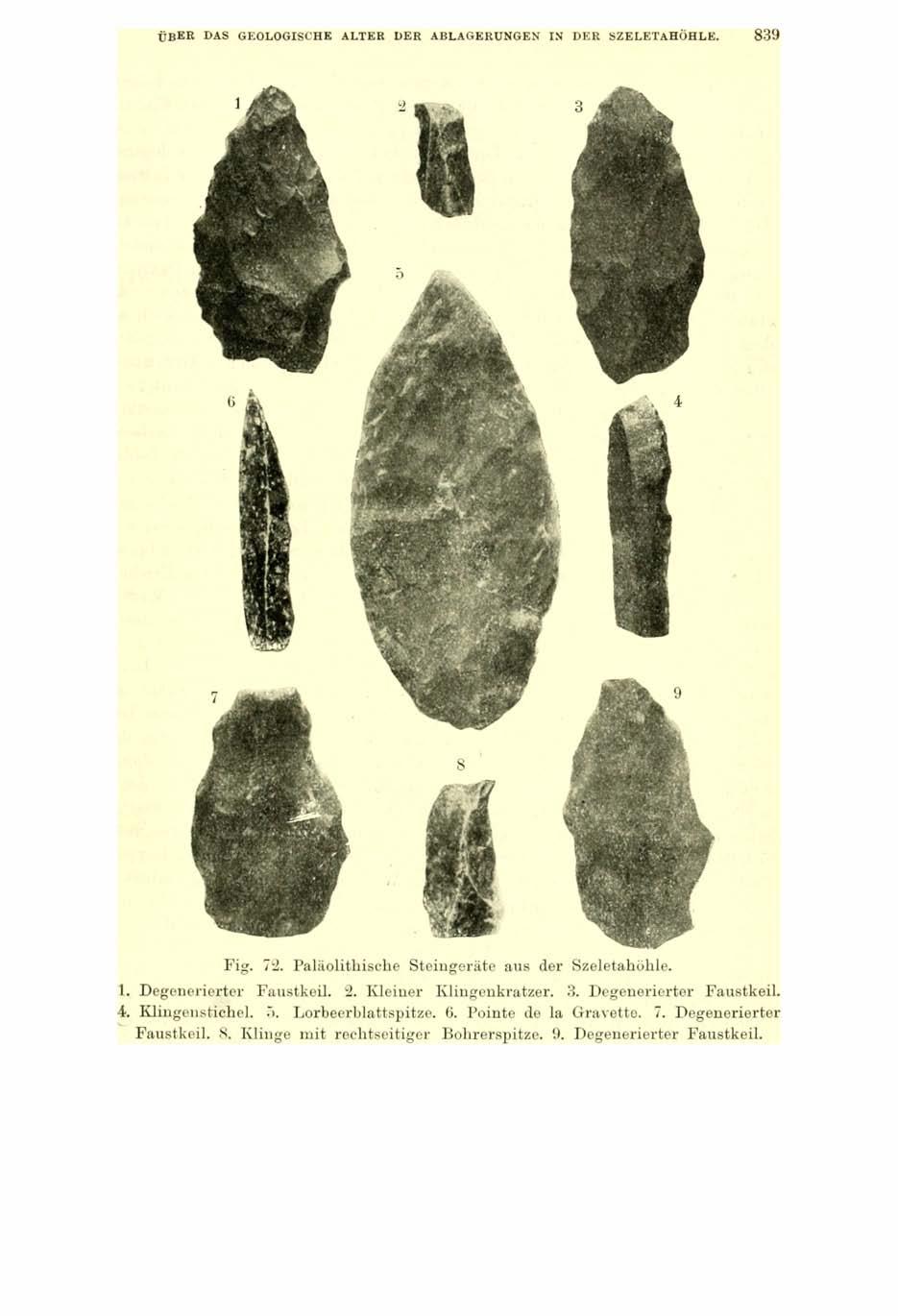 ÜBER DAS GEOLOGISCHE ALTER DER ABLAGERUNGEN IN DER SZELETAHÖHLE. 8 3 9 Fig. 72. Paläolithische Steingeräte aus der Szeletahöhle. 1. Degenerierter Faustkeil. 2. Kleiner Klingenkratzer. 3. Degenerierter Faustkeil. 4 Klingenstichel.