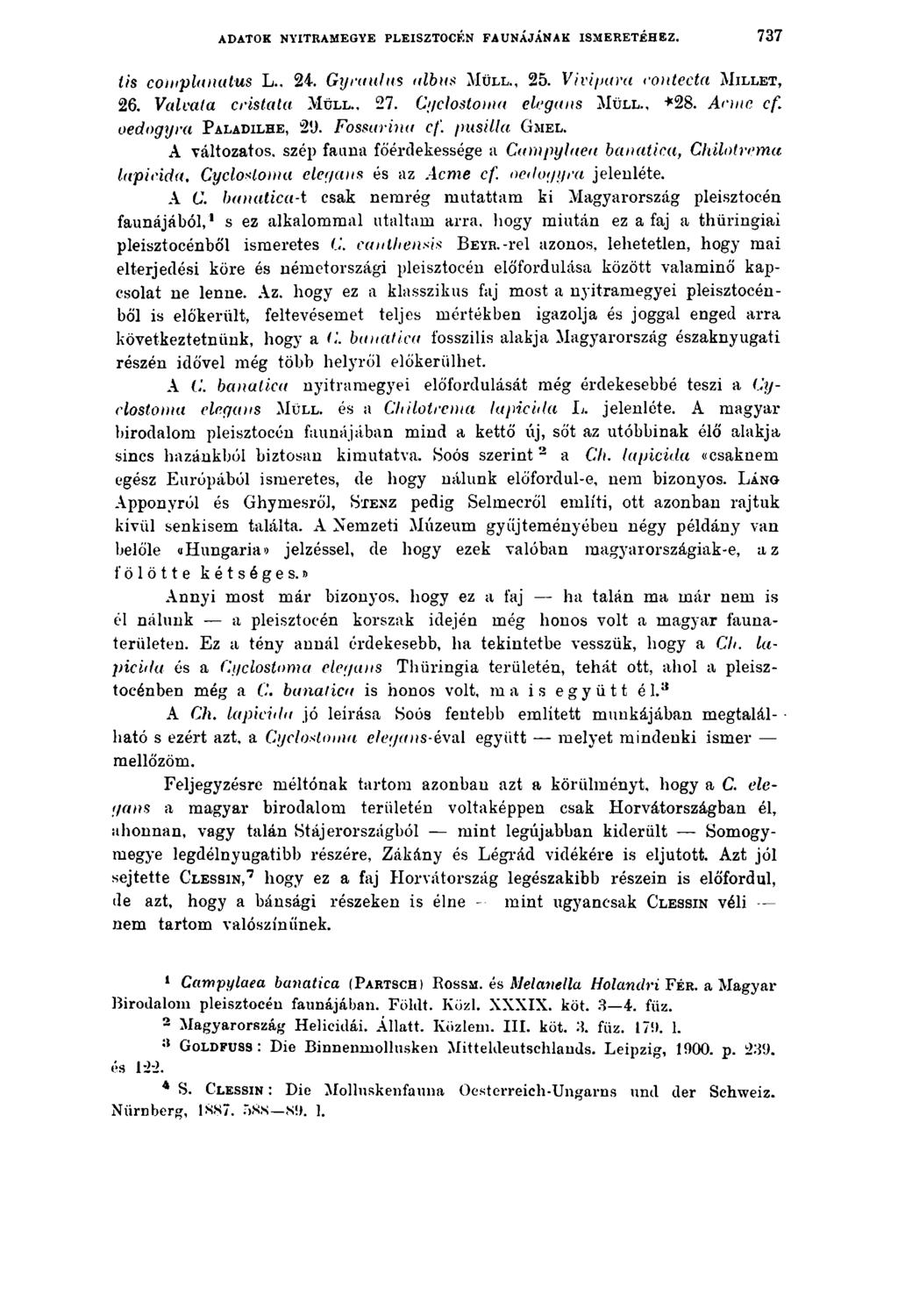 ADATOK NYITRAMEGYE PLEISZTOCÉN FAUNÁJÁNAK ISMERETÉHEZ. 737 iis complanatus L., 24. Gyraulus albus M ü ll., 25. Vivipara rontecta M il l e t, 26. Valvata cristata M ü ll., 27.