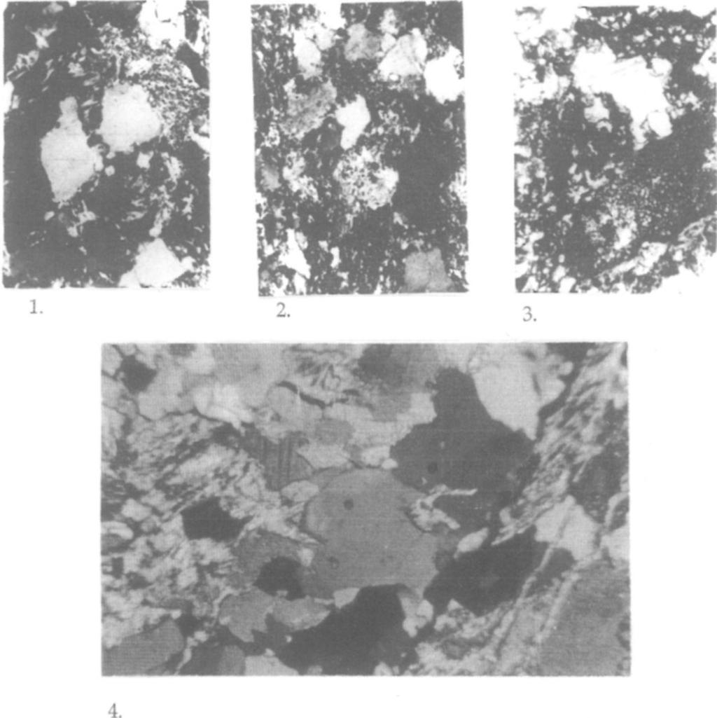 interatitic structure (+N, 60x) 2. Törmelékanyagot cementáló finomszemcsés metaszomatikus sziderit-ankerit.