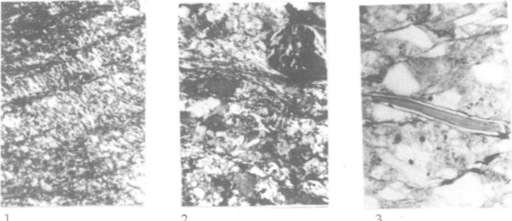 Preferred orientation of mineral lamellae alternating as microbands (crossed schistosity, phyllonite texture (+N, 90x) 2.