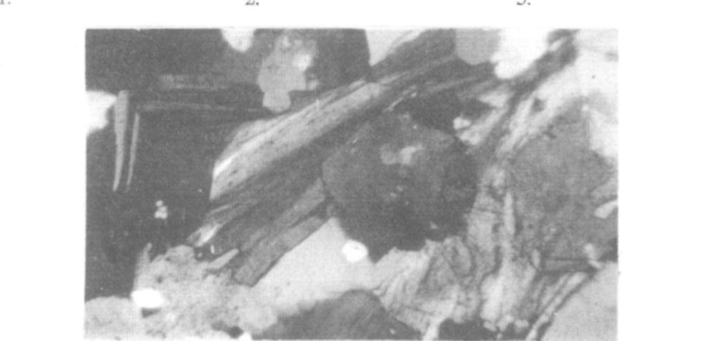 The brecciated rock is cemented with calcite (+N, 90x) 3. Klorit-hidrocsillám orientált összenövése, középszemcsés homokkőben. (UN, 90x).