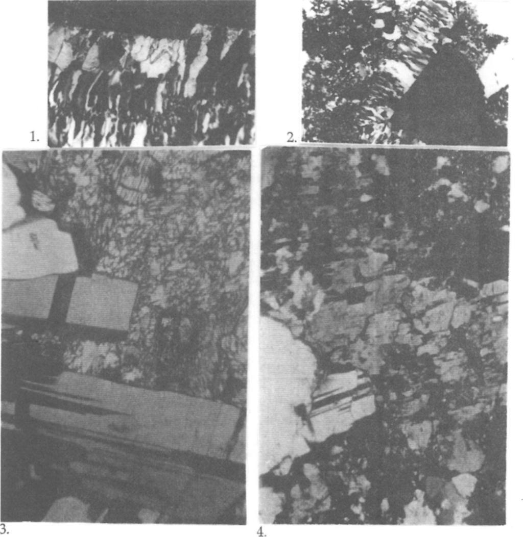 finegrained carbonate matrix (upper edge of the photo) (+N, 90x) 2.