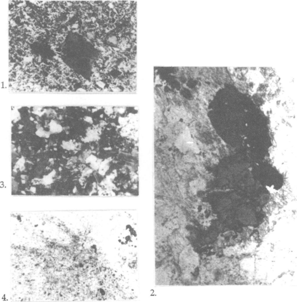 (+N, 60x) Hematite and green tourmaline intergrowth with "cocade texture", in the matrix (+N, 60 x) 3.