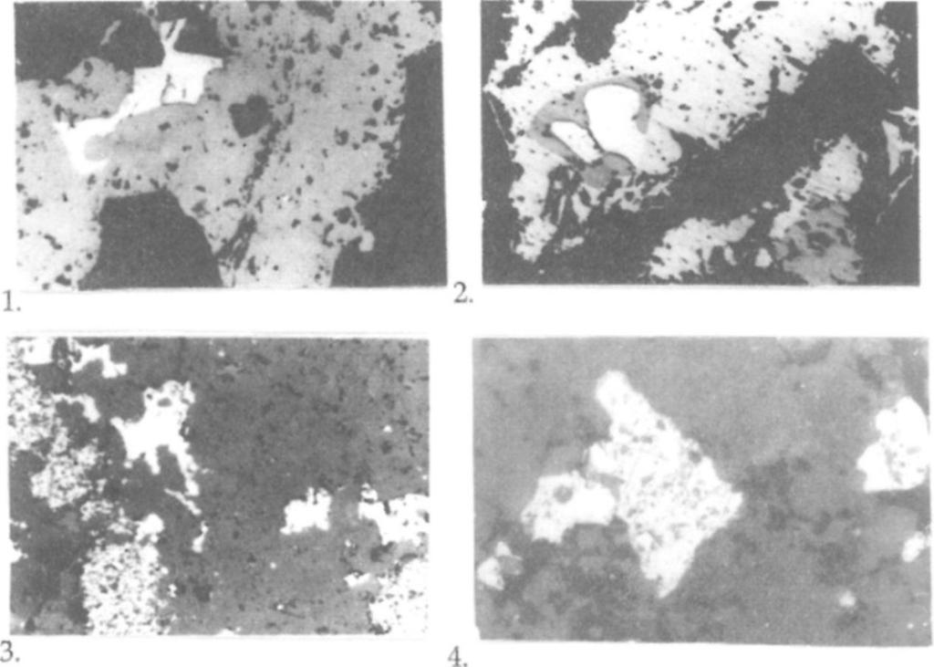 The silicified band is barren 2. A vékonycsiszolat részlete. Az alfa-nyomok eloszlásképe hasonló. A víztiszta másodlagos és meddő kvarc szemcséket limonit, jarozit? és vasfoszfát(?) rezorbeálja.