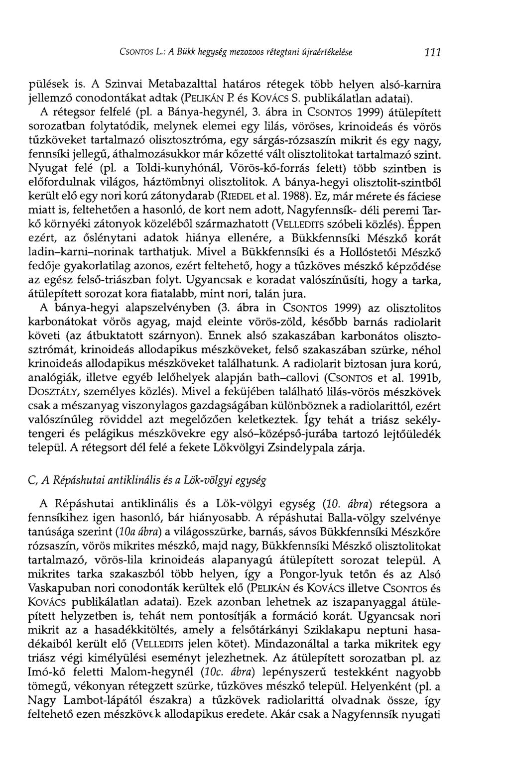 CSONTOS L.: A Bükk hegység mezozoos rétegtani újraértékelése 111 pülések is. A Szinvai Metabazalttal határos rétegek több helyen alsó-karnira jellemző conodontákat adtak (PELIKÁN P és KOVÁCS S.