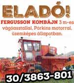 : 06-30/938-7716 TÜZELŐANYAG -KÍNÁLAT! KEMÉNY FA: 2.850 FT/100 KG-TÓL. SÓDER, CEMENT, OLTOTT MÉSZ KAPHATÓ! KEDVEZMÉNYES FUVAROZÁS. Mihalics Tüzép 06-30/249-5908.