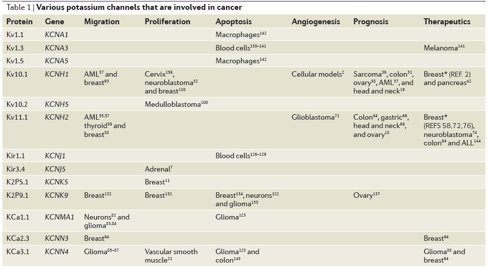 K+ csatornák érintettsége rákos kórképekben Abnormális K csatorna expressziót