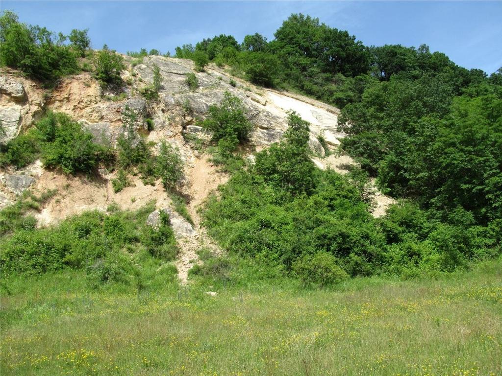 eacta Naturalia Pannonica 14 2017 9 4. ábra. Eupithecia impurata lelőhelyek Magyarországon Fig. 4. Localities of Eupithecia impurata in Hungary 5. ábra. Az Eupithecia impurata habitatja; Váralja, Mecsek hegység, 2016 Fig 5.