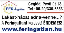 Ha fejleszteni, bővíteni szeretné vállalkozását, ingatlant, lakást, házat, nyaralót, irodát, telephelyet, üzemet, termőföldet, erdőt venne, akkor is forduljon hozzánk bizalommal.