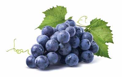 TECHNOLÓGIA A Dow AgroSciences szőlő-növényvédelmi technológiája 17 A LISZTHARMAT ELLENI KLASSZIKUSOK KARATHANE STAR EC Kontakt sztár, 3 időszakban javasoljuk felhasználását A szőlő első kezelései