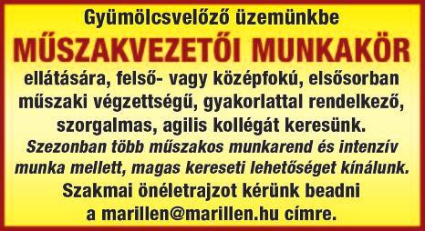 Kiskunfélegyházi szalonna feldolgozó üzembe keresünk HENTEST vagy SZAKÁCSOT szalonna bontására, előkészítésére és tepertő
