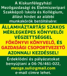: 06-70/489-1155 Józan életű ezermester férfi kereskedelmi, gépkocsivezetői tapasztalattal munkát keres. Tel.