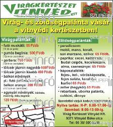 Helyezzük erre a kiemelt növényt úgy, hogy olyan magasra kerüljön, mint az előző cserépben volt.