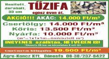 : 96/260-176 Felelős kiadó: Tárkányi Mária