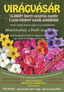Csirkéhez, sertéshez, pulykához, borjúhoz, vadhúshoz ajánljuk. Csípős-joghurtos pác Hozzávalók: 8 dl natúr joghurt, 1 kanál méz, fél tk aprított vagy őrölt chili, 1 gerezd fokhagyma, só.
