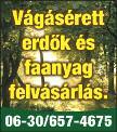 Döngölőbéka, lapvibrátor, fúróvésőgépek, térkőroppantó bérelhető 3300 Ft-tól. Tel.: 06-30/552-1479 Járólapozást, csempézést, parkettázást, egyéb burkolási munkát vállalok 25 éves tapasztalattal.
