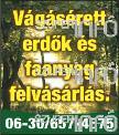 Felesleges holmik, hulladék elszállításával. Hívjon bizalommal, megegyezünk! Farkas Péter, 06-20/228-9364. Csornán kisebb kőműves munkát (átalakítást, bontást, burkolást, javítást) vállalok.