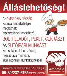 +36-70/375-7870 Betonmixerre keresünk gépkocsivezetőt Csorna ill. Kapuvár környékéről 40 éves korig. 06-30/235-5970 Fertődön a Valéria élelmiszerbolt pénztárost keres.