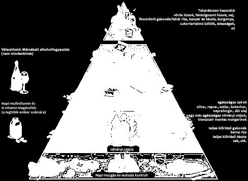 3. ábra Harvard-piramis (2008) [9] Harvard szerint egy átlag felnőtt ember étrendjében a piramis alján elhelyezkedő élelmiszereknek (teljes kiőrlésű gabonák, zöldségek, gyümölcsök, egészséges