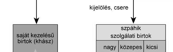 Az arisztokratákkal általában oly módon politizált, hogy kihasználta a mágnási csoportok közötti érdekellentéteket. Nem is tehetett másképp, hiszen pl.