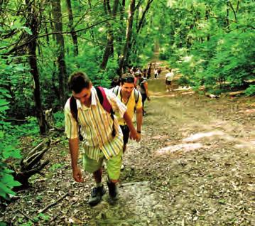 Barangolások a természet ösvényein Természetjárás, túrák / Wanderungen, Touren / Hiking A