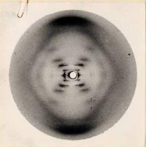 1879 izzólámpa 1931 TEM 1869 Friedrich Miescher izolálja a nukleint 1919 Alkotórészek