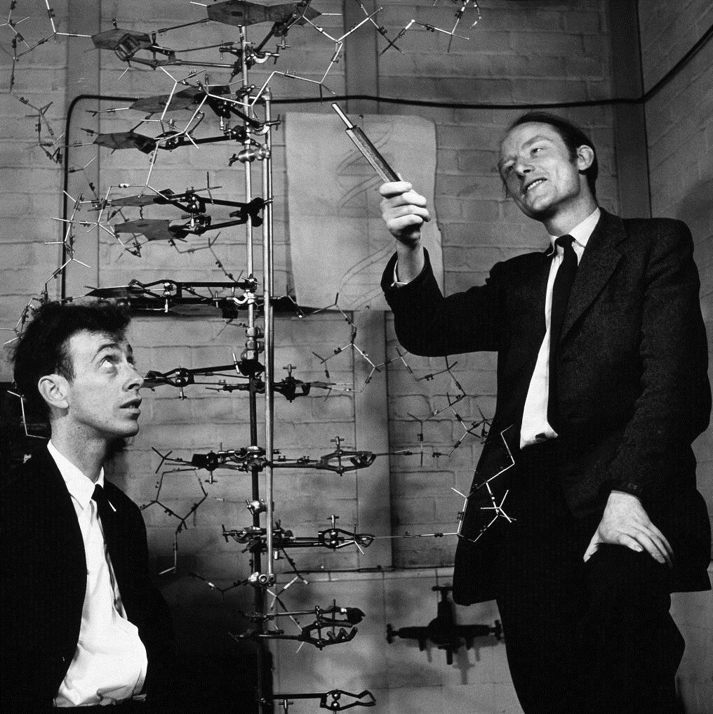 tranzisztor 1944 Avery MacLeod McCarty kísérlet: a DNS hordozza a genetikai információt!