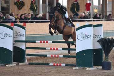 EL CAPITAN El Capitan 2011-es születésű, holsteini fajtájú fedezőmén. Apja Carrico, a sokszoros olimpiai bajnok Ludger Beerbaum fedeztetési állomásának sztárménje.