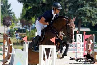 CASTERO Castero egy 2010-ben született Cassini II apaságú mén, tenyésztési engedélyt 2015- ben kapott a magyar sportló fajtában.