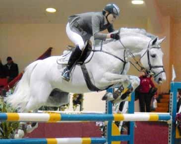 LEVANTOS II 2017-ben ismét elérhető a magyar tenyésztők számára a Holstein Tenyészszemle egykori bajnoka, Levantos II.