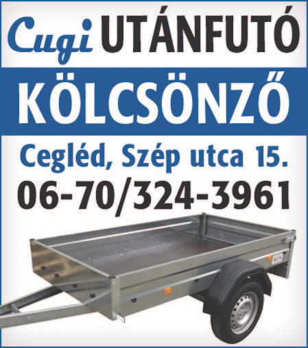 06-70/40-60960 N A G YKŐRÖSÖN a Tázerdő dűlőben t a n ya eladó 2 szoba, konyha, spájz, k a mra 960 négyszögöl föld 3 fázis 2 d b kút. Érd.
